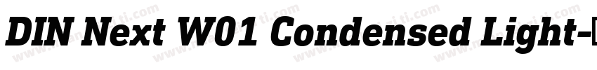 DIN Next W01 Condensed Light字体转换